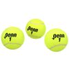 Penn Championship Extra Duty Tennis Balls (12 cans, 36 balls)