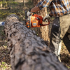 Gas Chainsaws HUSQVARNA 592 XP®