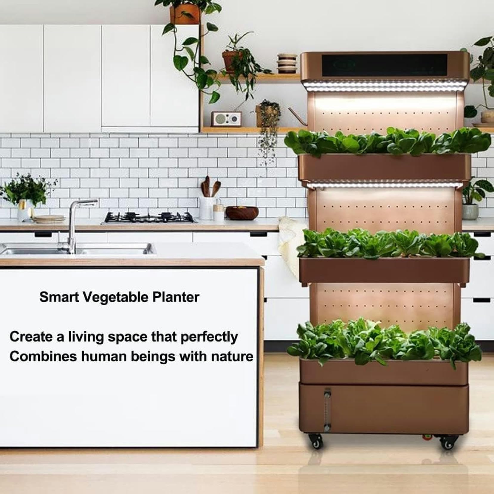 Hydroponic Growing Kits 3 Floor