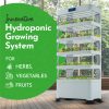 Nutraponics Hydroponics System