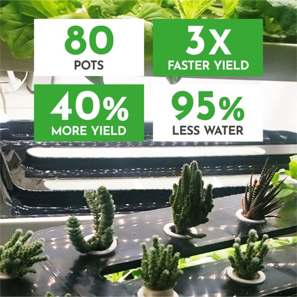 Nutraponics Hydroponics System