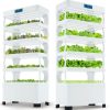 Nutraponics Hydroponics System