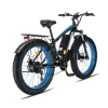 ✨Wide tire electric bike with 1000W 48V/17.5Ah removable battery 31MPH✨